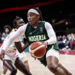 D'Tigress forward Ify Okonkwo