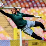 Nnadozie's six saves not enough as Spurs pip Brighton 1-0