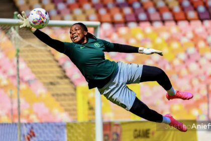 Nnadozie's six saves not enough as Spurs pip Brighton 1-0