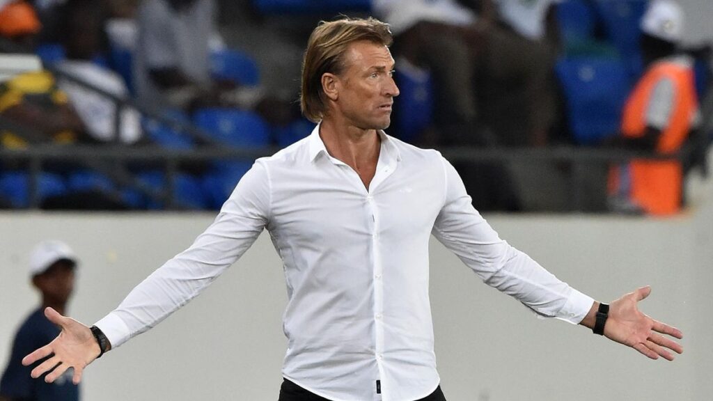 NFF denies contacting Herve Renard for vacant Super Eagles job