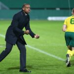 NFF told me not to invite Enyeama, Mikel, Emenike - Oliseh