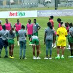 Cameroon's no-show forces postponement of Super Falcons friendly in Ikenne