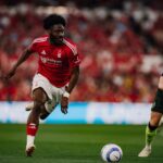 Ola Aina