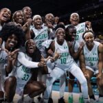 D'Tigress