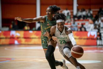 'This is the definition of Nigerian basketball' - Ezinne Kalu, Musa on Afrobasket win over Cameroon