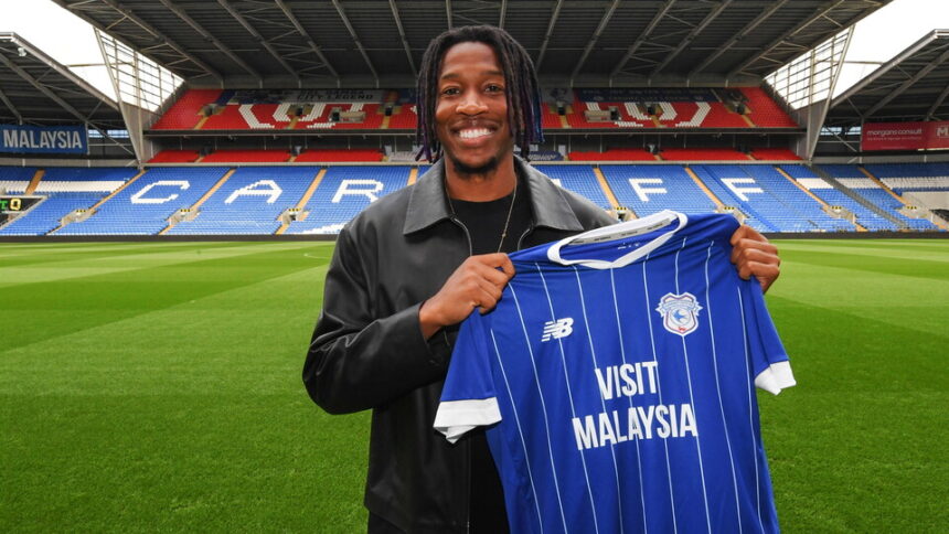 Gabriel Osho completes move to Cardiff City from Auxerre