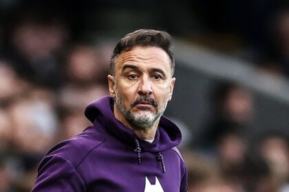 Arokodare set to get new coach as Wolves sack Vitor Pereira