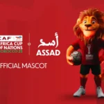 More than a costume: How AFCON mascots reflect Africa’s football soul
