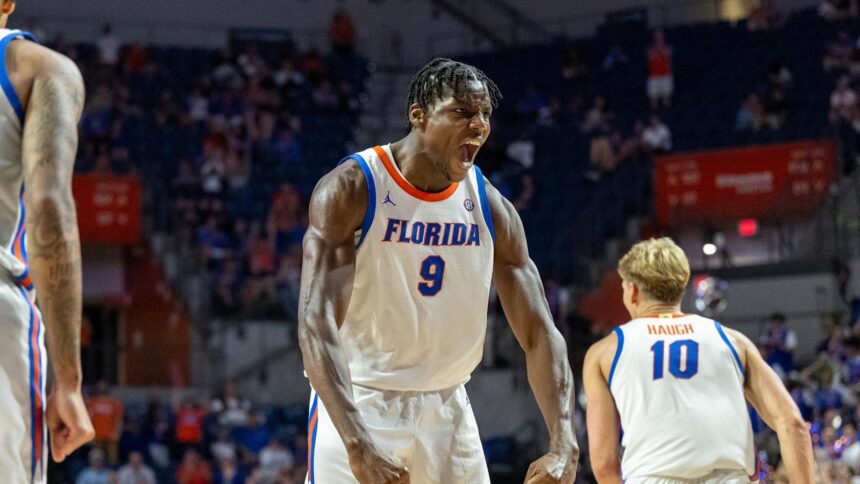 Rueben Chinyelu named SEC Defensive Player of the Year, Scholar-Athlete of the Year
