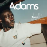 OFFICIAL: Akor Adams joins Serie A newcomers Venezia from Sevilla