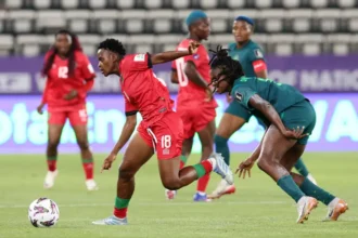 WAFCON: What the Super Falcons must fix before facing Zambia