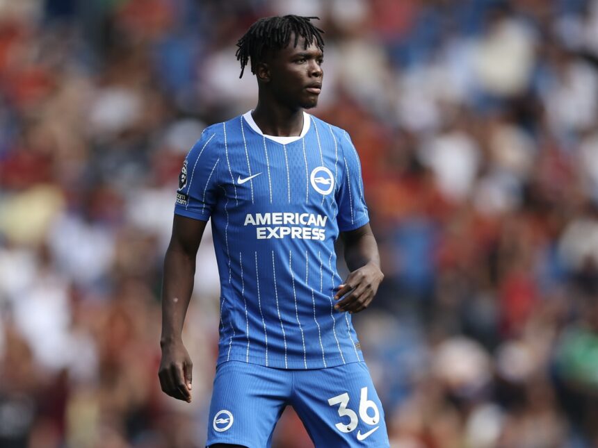 Zadok Yohanna gets Brighton No. 36 shirt, set to make debut in Conference League clash 37 Zadok Yohanna gets Brighton No. 36 shirt, set to make debut in Conference League clash