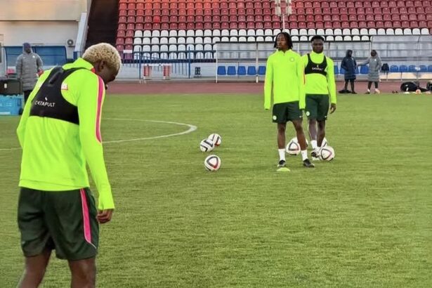 Friendly: Moses Simon, Nwabali lead 17 players as Super Eagles hold first training session in Russia